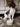 A Springer Spaniel dog sitting next to a green personalized spaniel bowl with the name 'Monty' on it.