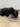Cat Bowls & Saucers - Chow Bella Ltd