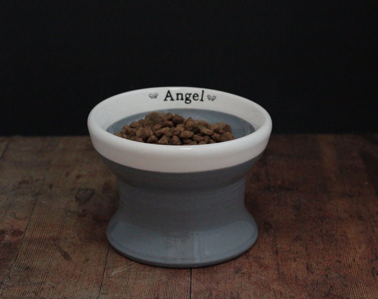 Raised Cat Bowl - Chow Bella Ltd