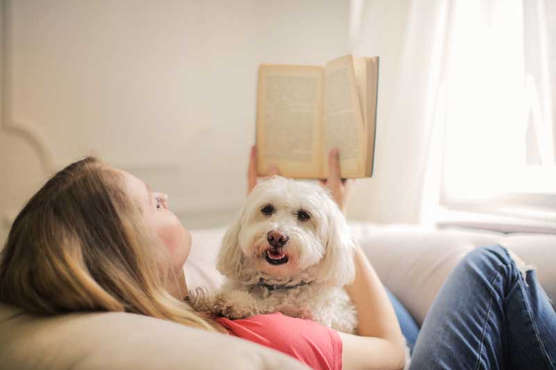 Curl up with your dog and a good book - Chow Bella Ltd