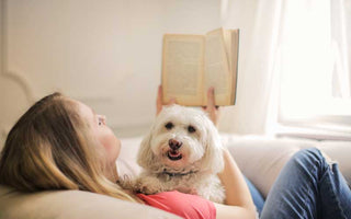 Curl up with your dog and a good book - Chow Bella Ltd