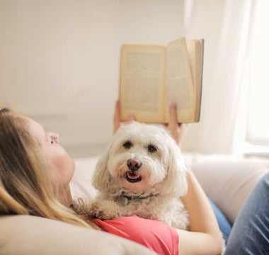 Curl up with your dog and a good book - Chow Bella Ltd
