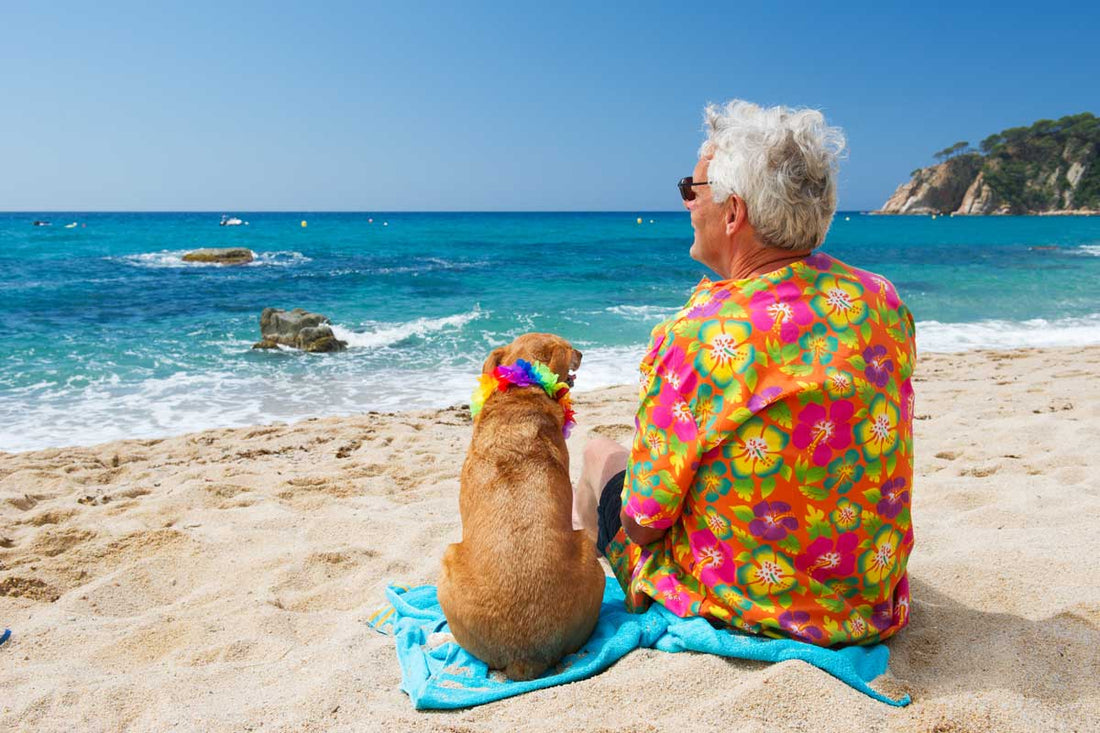 Holiday with your Hound! - Chow Bella Ltd