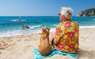 Holiday with your Hound! - Chow Bella Ltd