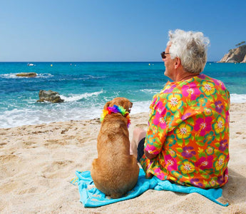 Holiday with your Hound! - Chow Bella Ltd