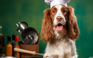 Home-Cooked Diets for Dogs: A Tail-Wagging Trend in the UK - Chow Bella Ltd