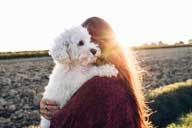 Mother's Day ideas - Chow Bella Ltd