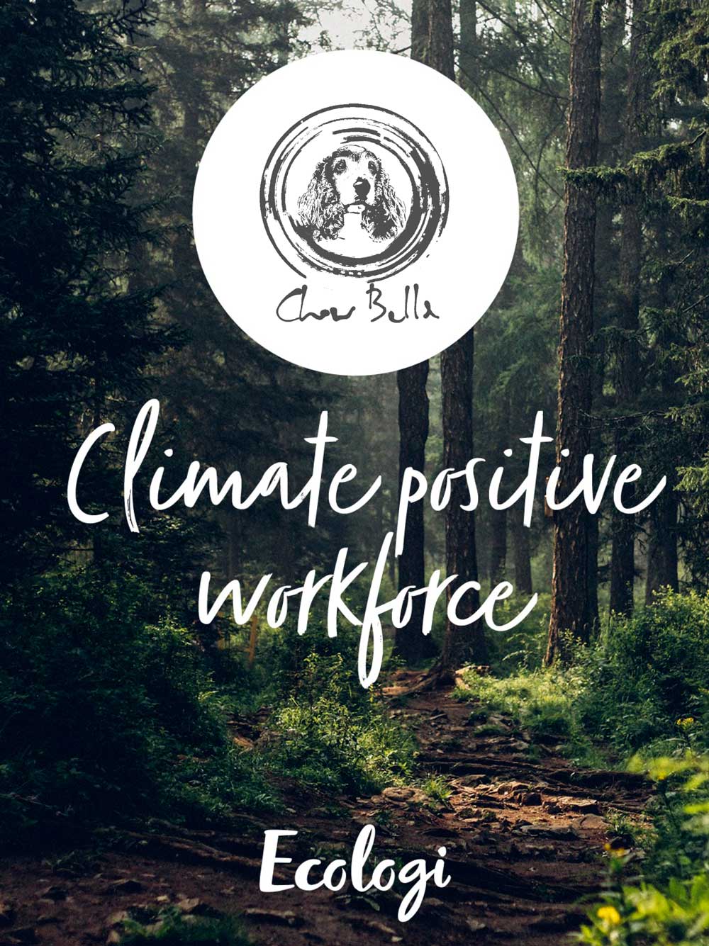 Reducing our carbon footprint - Chow Bella Ltd