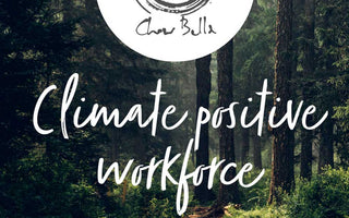 Reducing our carbon footprint - Chow Bella Ltd