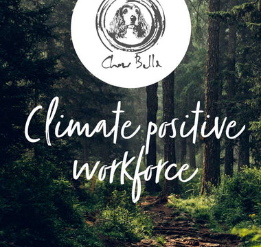 Reducing our carbon footprint - Chow Bella Ltd