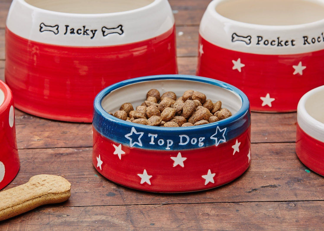 Revealed The top ten boy and girl dog names 2021! Chow Bella Ltd