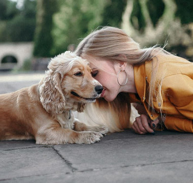 Revealed: The Top Ten Dog Names 2020 - Chow Bella Ltd