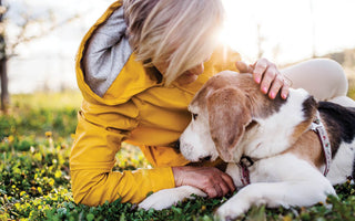 Understanding Pet Euthanasia: Making Informed Decisions for Your Beloved Companion