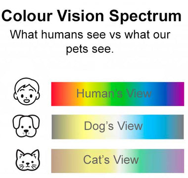 The Colourful World of Pets: How Colour Affects Our Furry Friends - Chow Bella Ltd