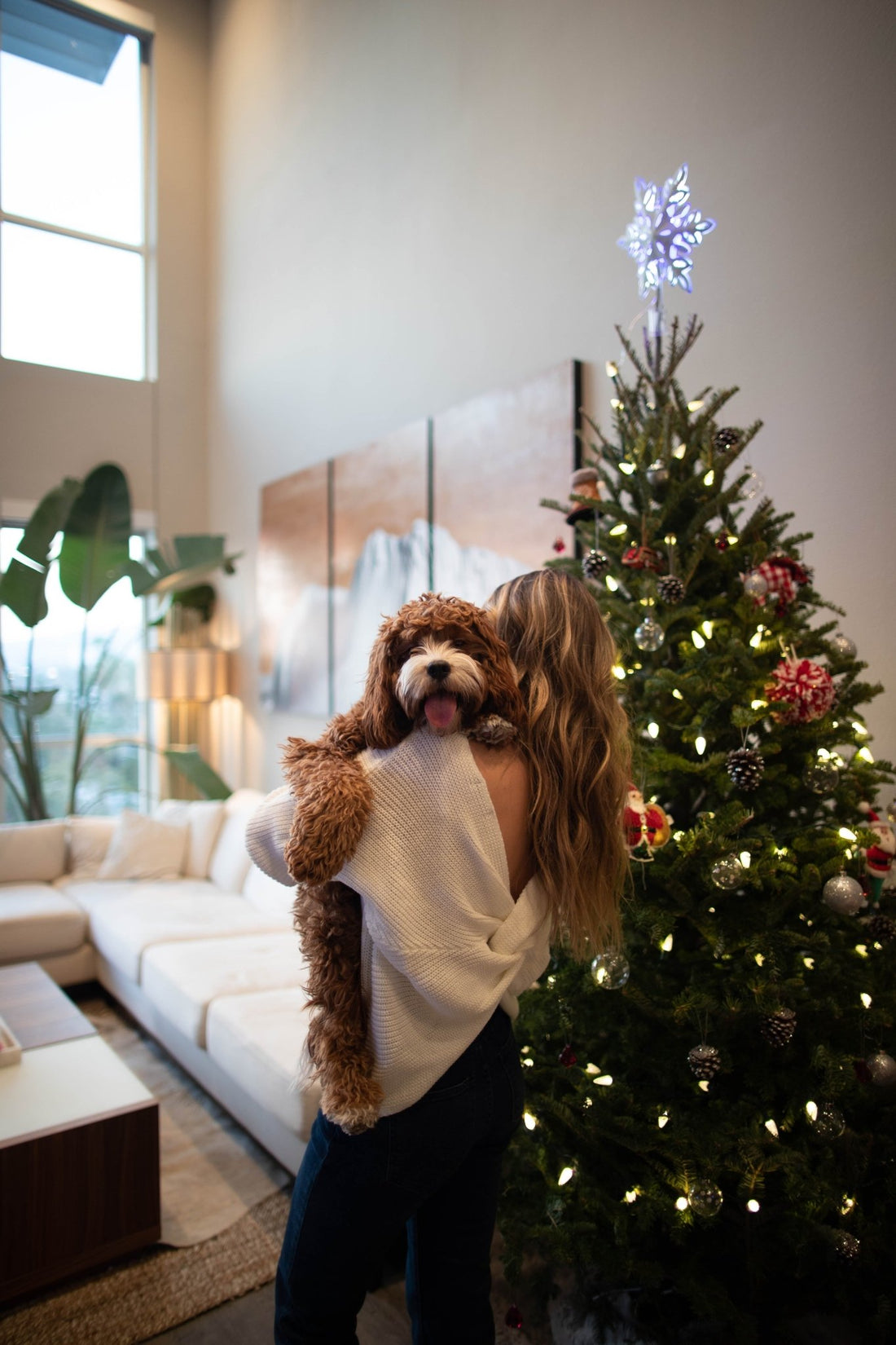 The Ultimate Holiday Gift Guide for Dog Lovers! - Chow Bella Ltd