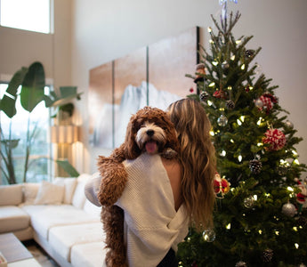 The Ultimate Holiday Gift Guide for Dog Lovers! - Chow Bella Ltd