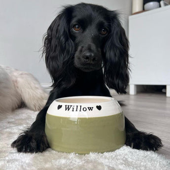 Best Spaniel Bowls for Cocker, Springer, and King Charles Breeds - Chow Bella Ltd