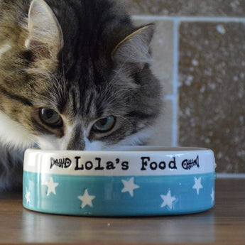 Cat Bowls & Saucers - Chow Bella Ltd