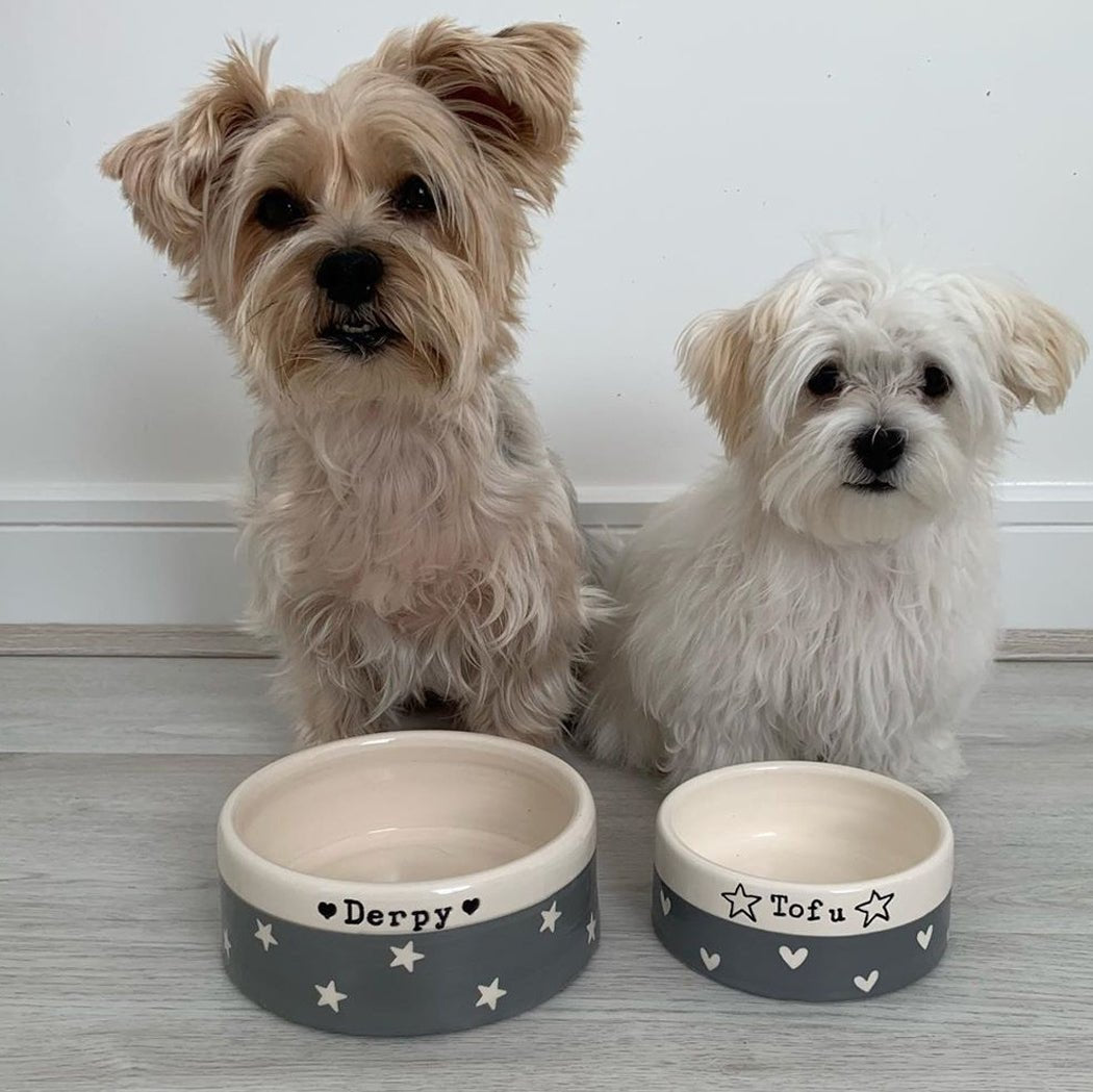 Dog Bowls - Chow Bella Ltd