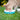Luxury Cat Essentials: Bowls & Gifts for UK Cat Lovers - Chow Bella Ltd