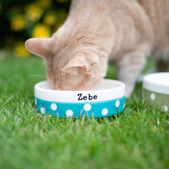 Luxury Cat Essentials: Bowls & Gifts for UK Cat Lovers - Chow Bella Ltd
