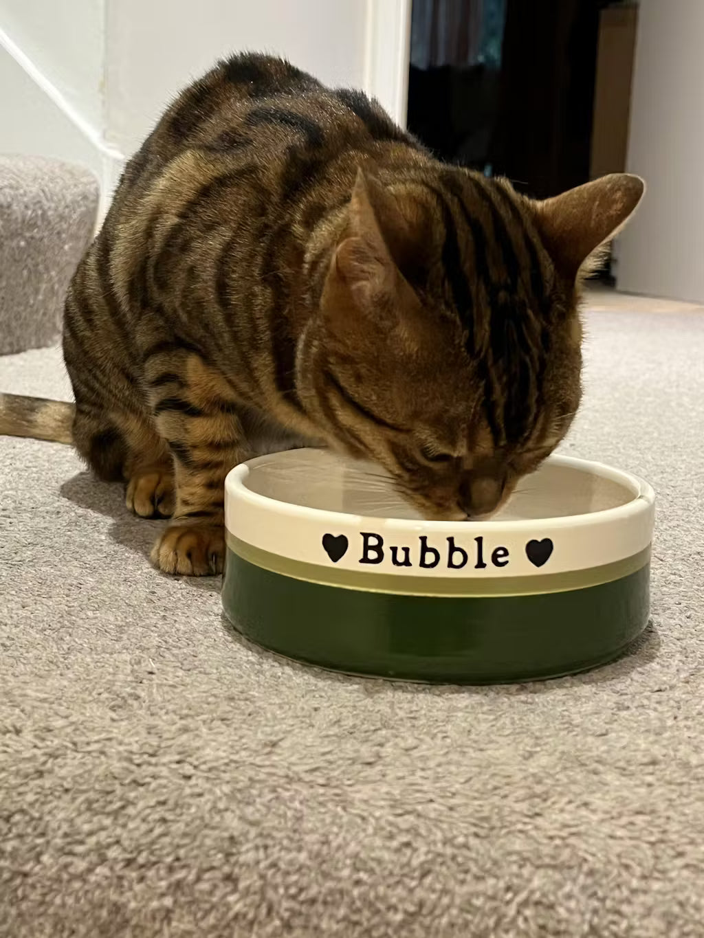 Kitten Bowl Custom Cat Bowls Personalised Ceramic Cat Bowl Saucer