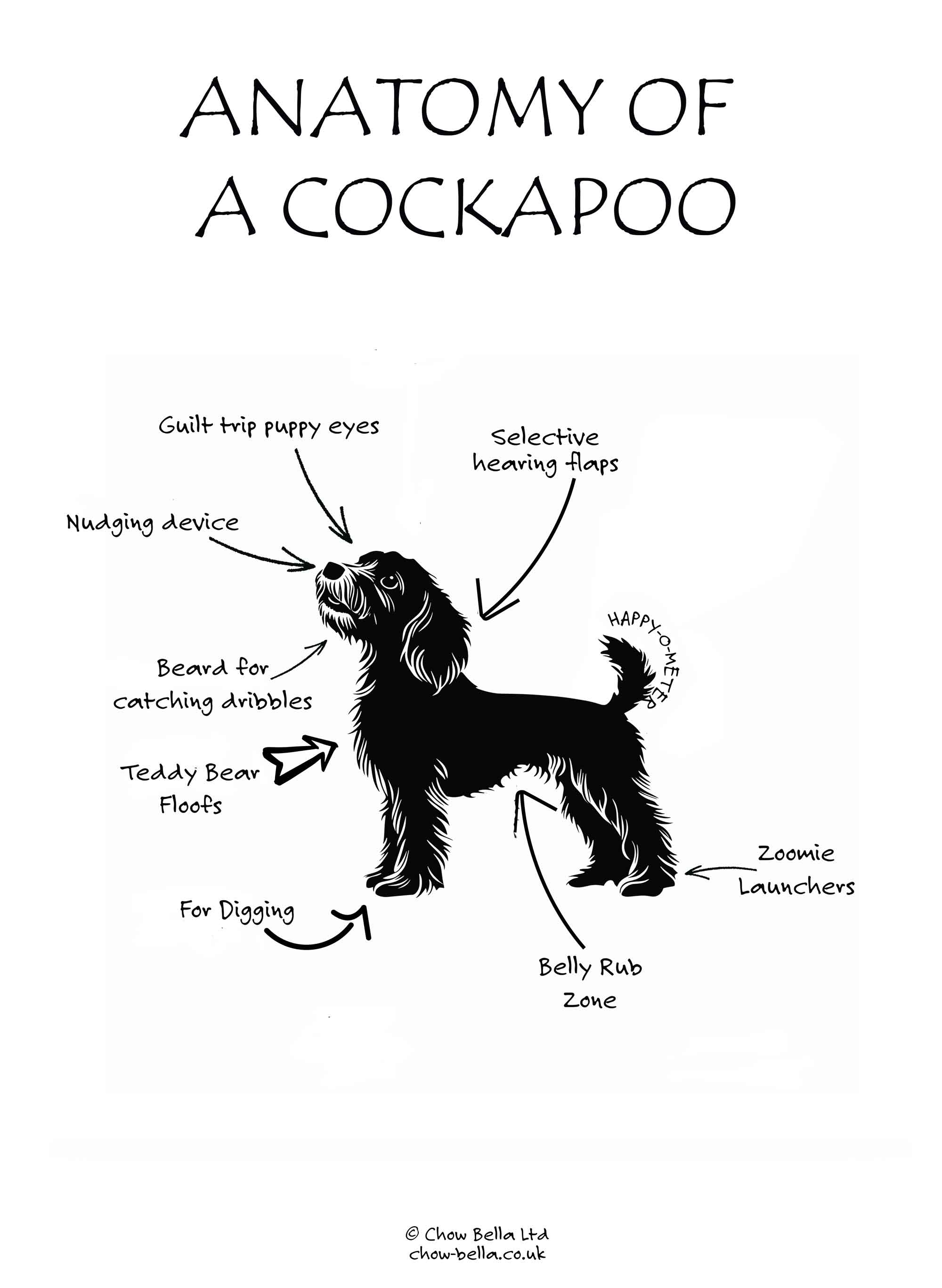 Anatomy of a Cockapoo Print – Chow Bella Ltd