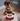 A Dachshund/King Charles Spaniel sitting beside a red and white ceramic bowl with a design, likely its food bowl.