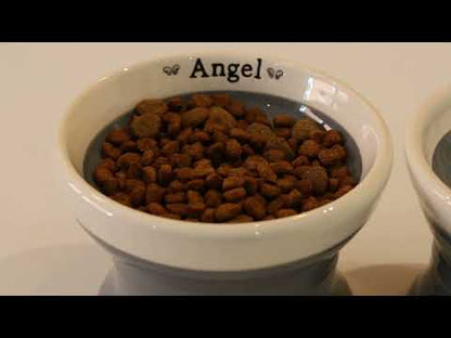 Raised Cat Bowl