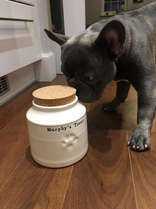 Dog Treat Jars - Chow Bella Ltd