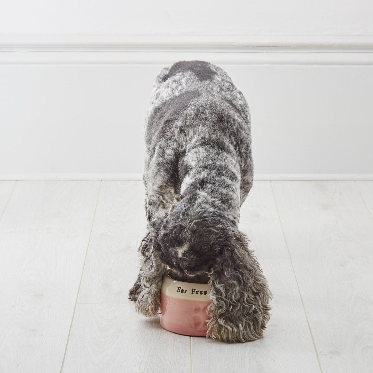Go-Slo Spaniel Bowl - Chow Bella Ltd