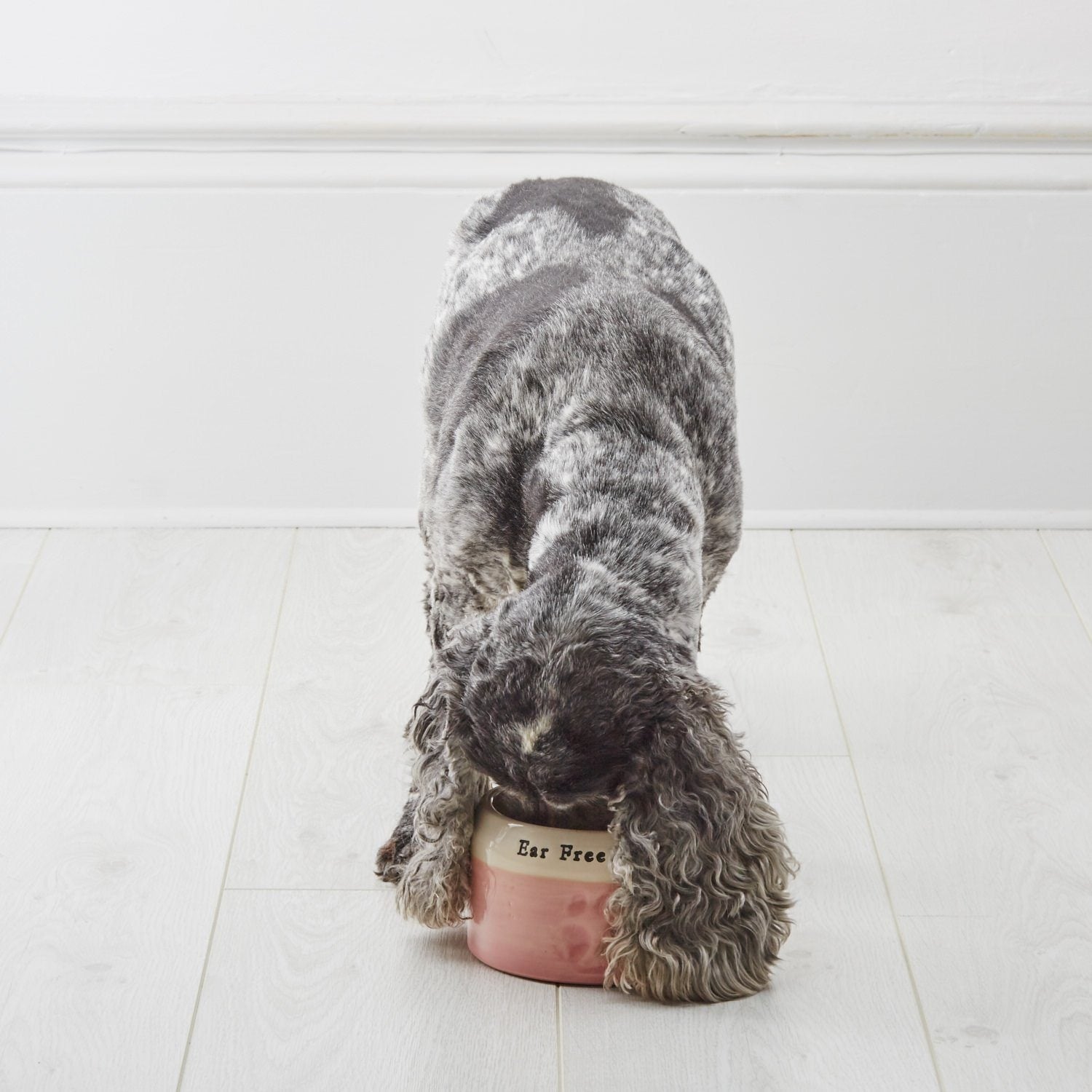 Go-Slo Spaniel Bowl - Chow Bella Ltd