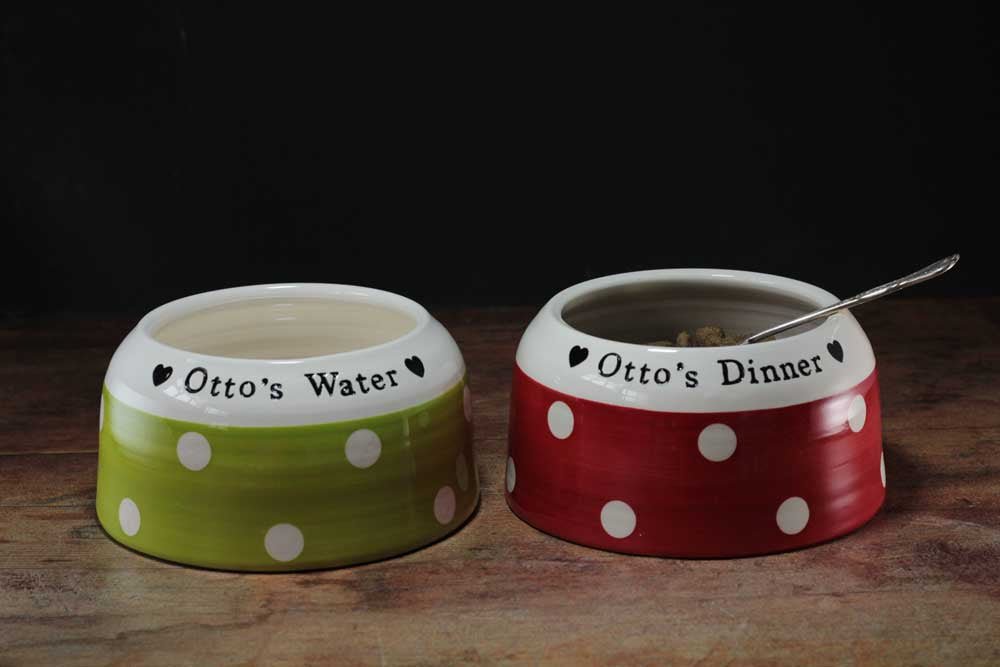 Go-Slo Spaniel Bowl - Chow Bella Ltd