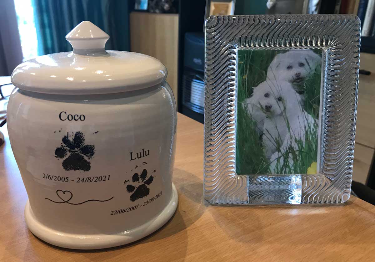 Pet Urns - Chow Bella Ltd