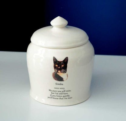 Urn for cat's ashes